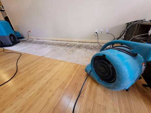 Professional Burst Pipe Water Damage technician working in Green Ridge, MO